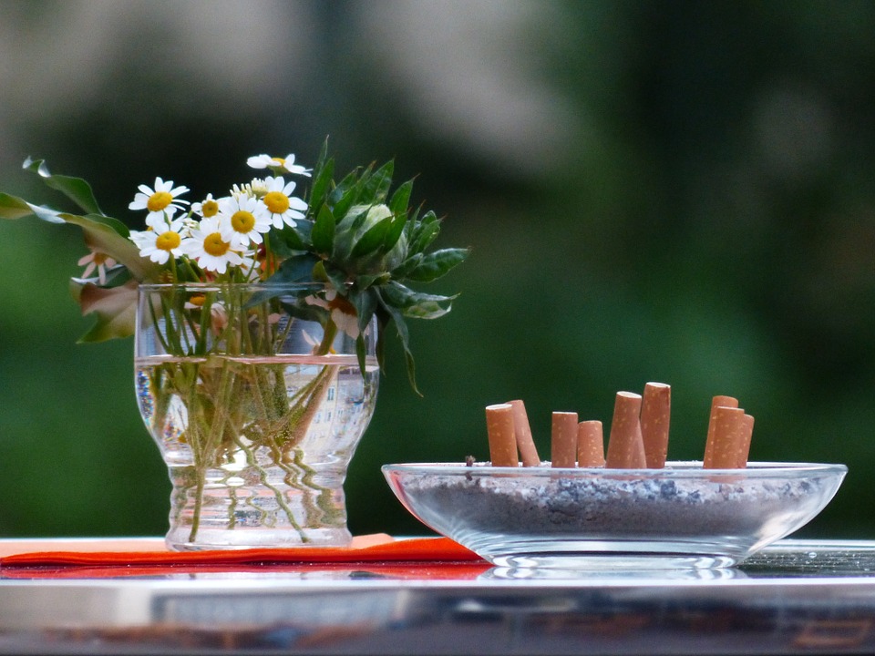 still life